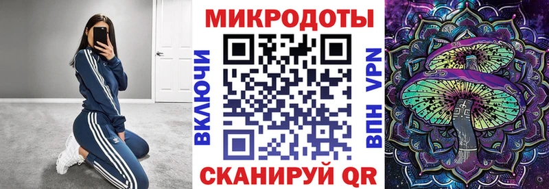 Псилоцибиновые грибы MAGIC MUSHROOMS  закладка  Ногинск 
